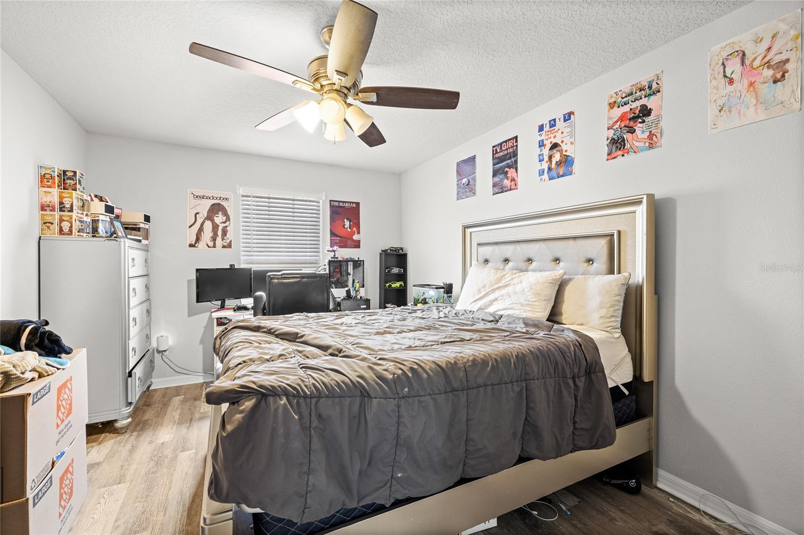 3847 SHAFTBURY PL, OVIEDO, FL, 32765