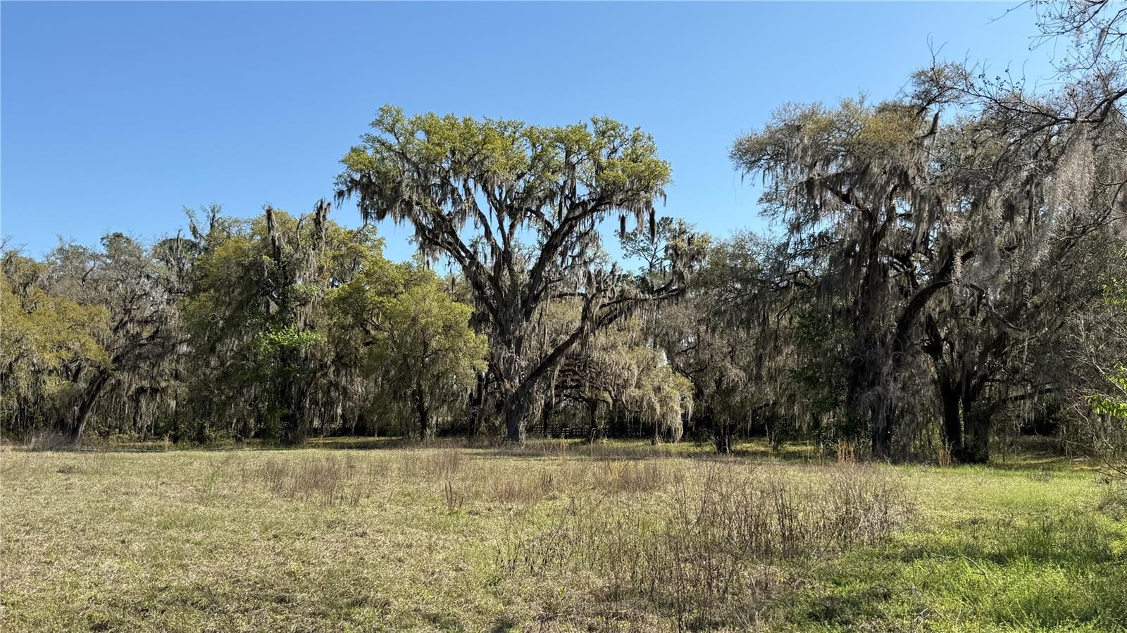 7905 NW 118TH CT, OCALA, FL, 34482