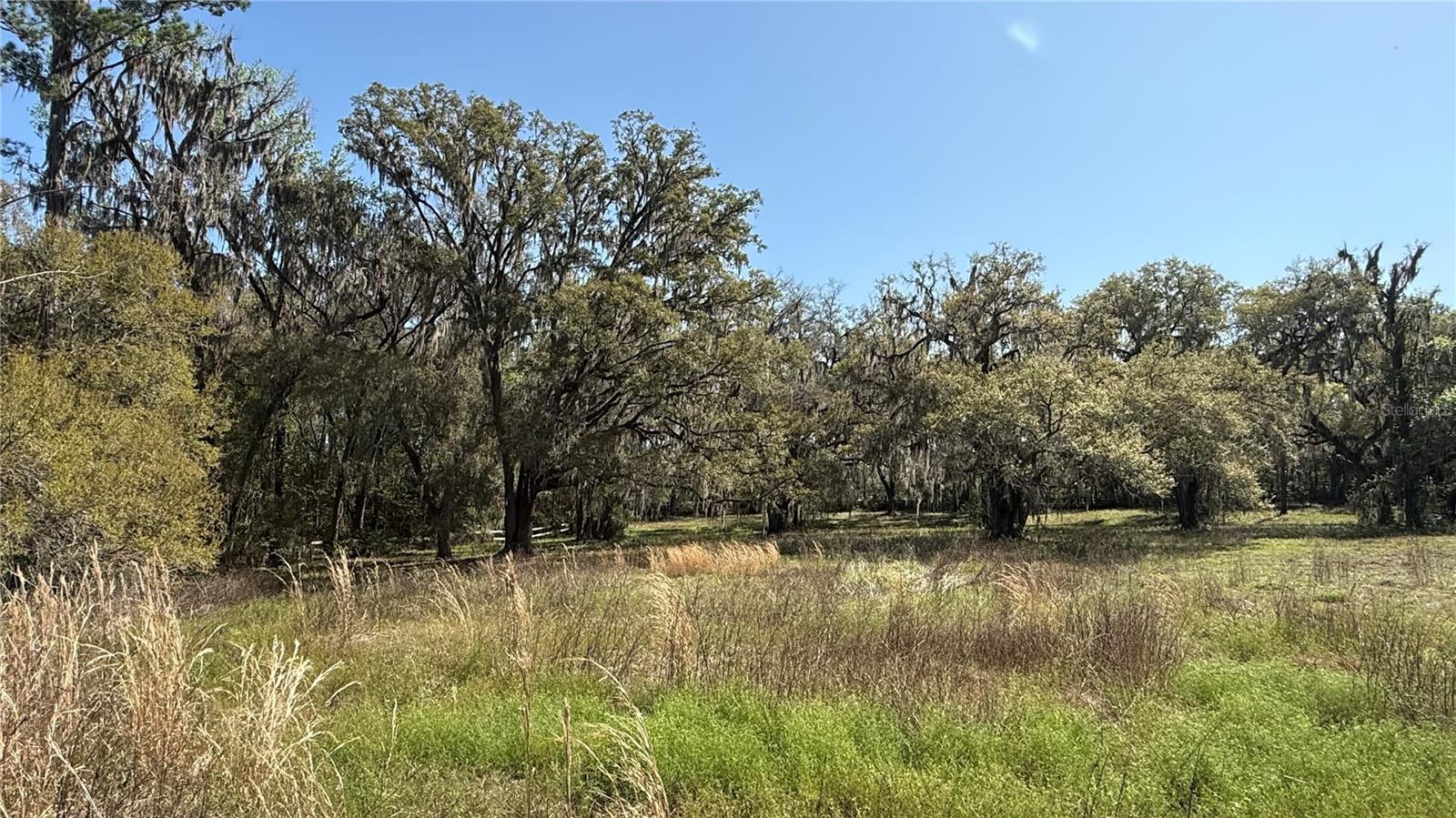 7905 NW 118TH CT, OCALA, FL, 34482