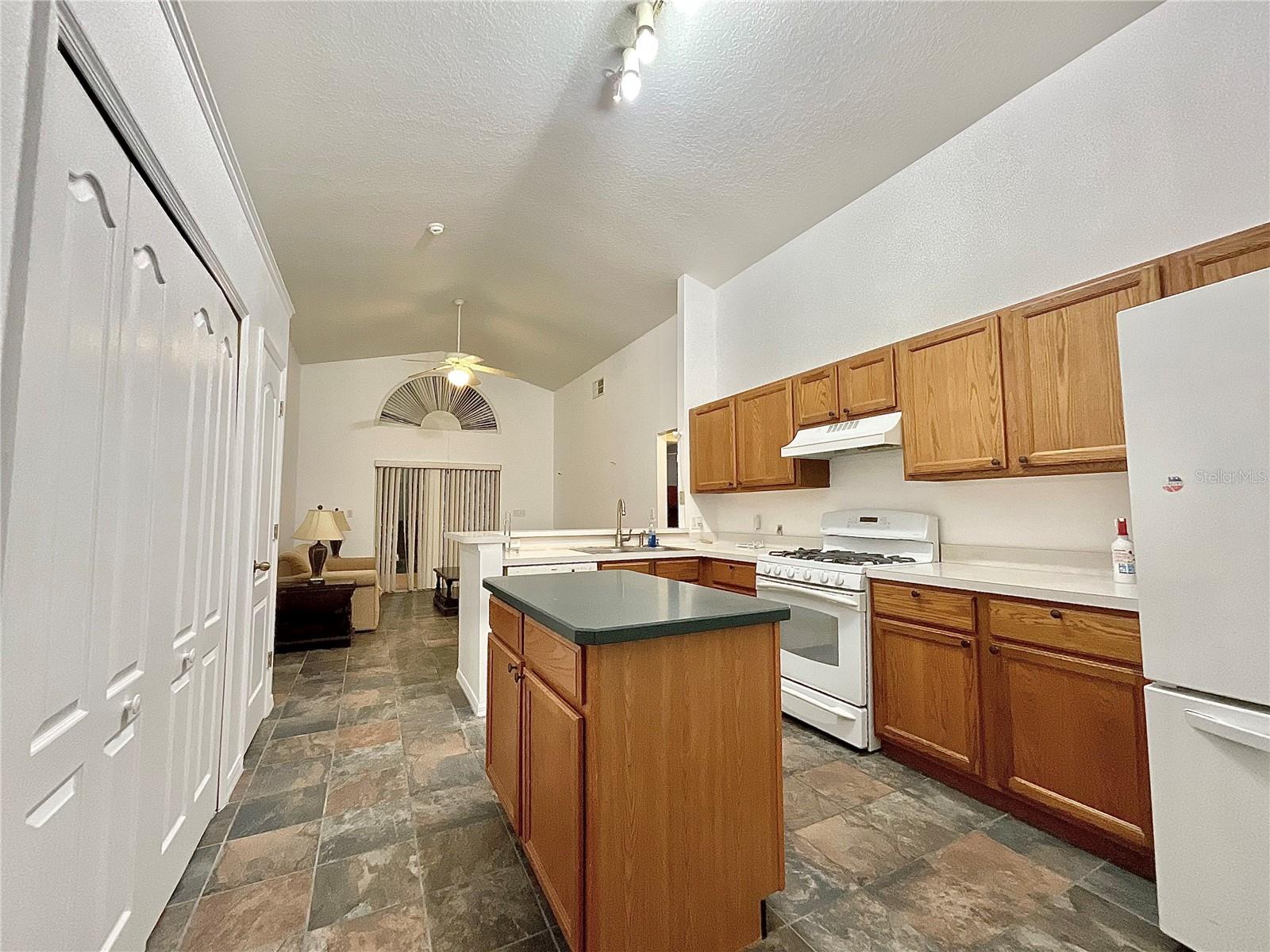 2931 OAKTREE DR, KISSIMMEE, FL, 34744