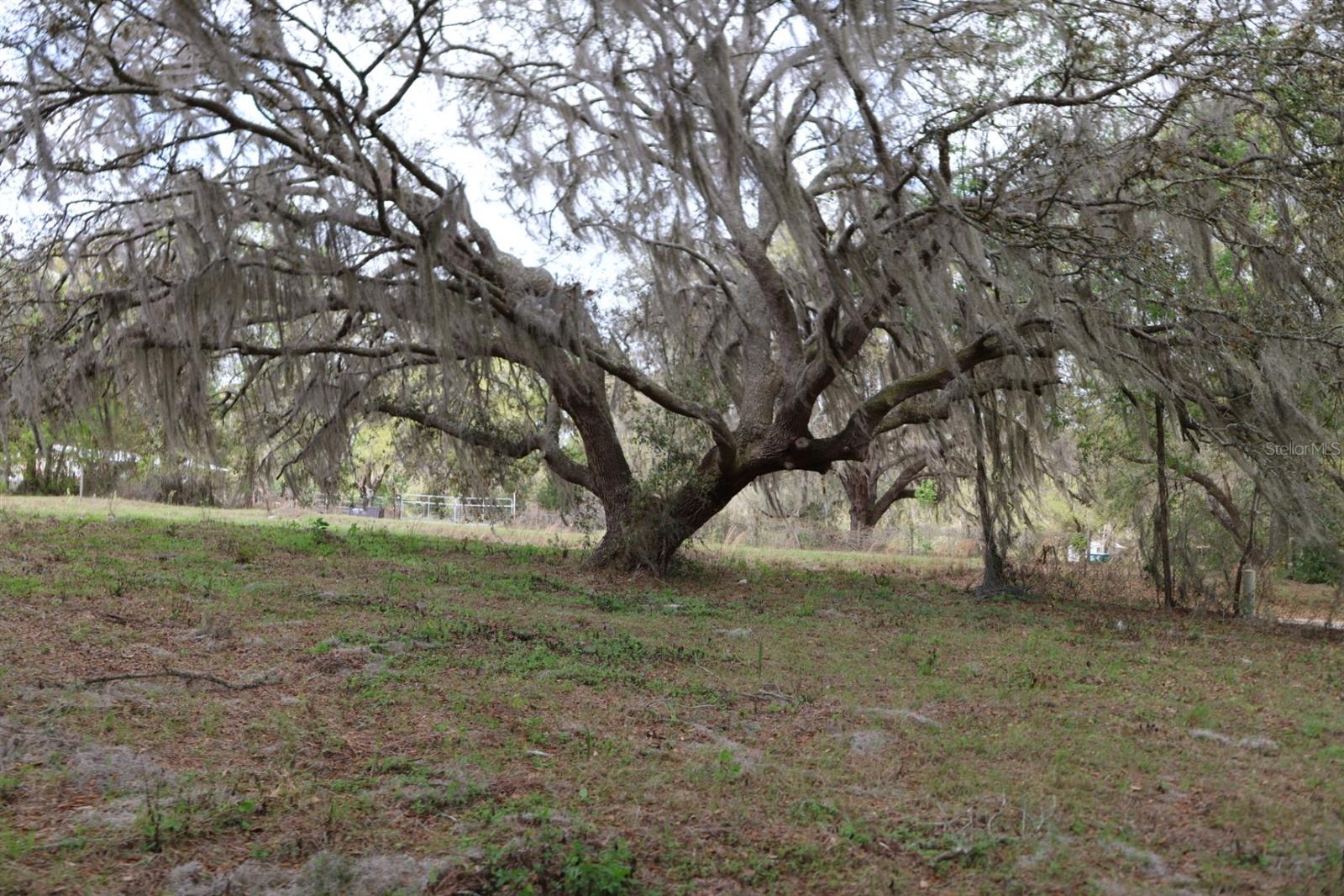 11234 SE 121ST LANE RD, BELLEVIEW, FL, 34420