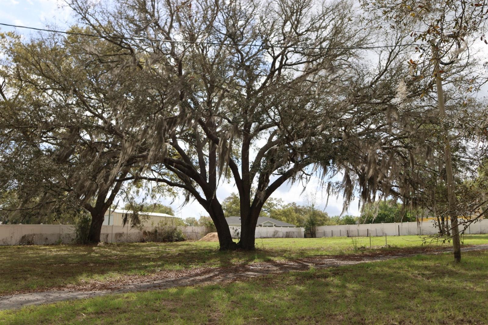 11234 SE 121ST LANE RD, BELLEVIEW, FL, 34420