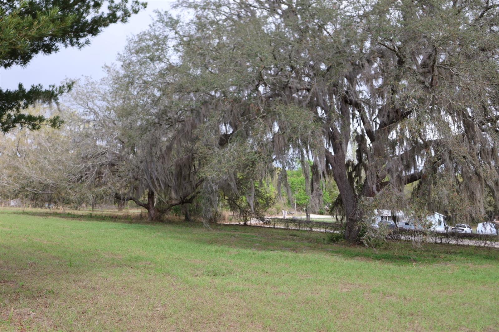 11234 SE 121ST LANE RD, BELLEVIEW, FL, 34420