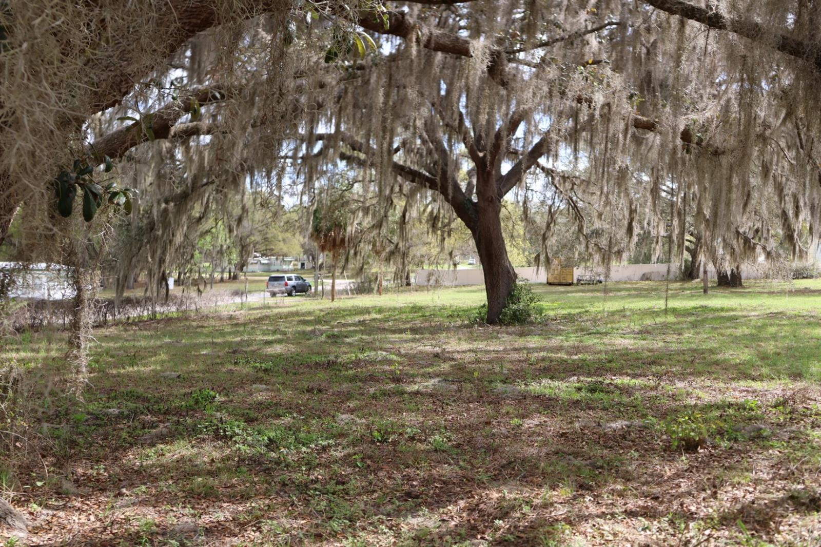 11234 SE 121ST LANE RD, BELLEVIEW, FL, 34420