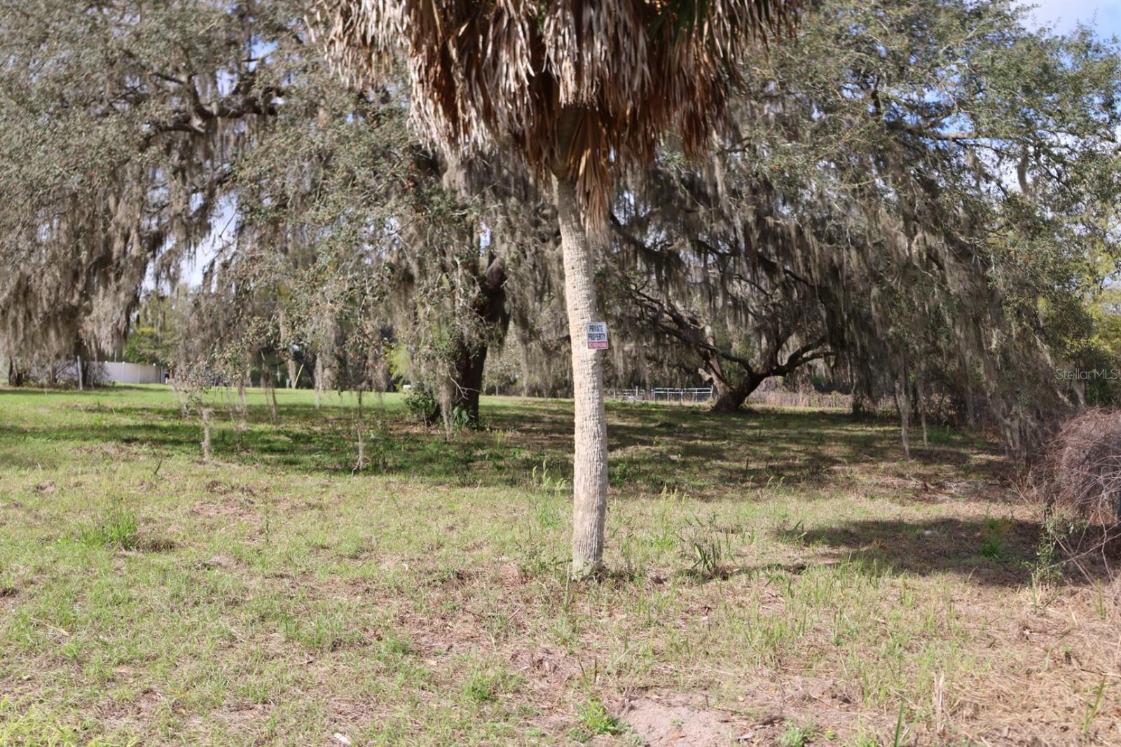 11234 SE 121ST LANE RD, BELLEVIEW, FL, 34420