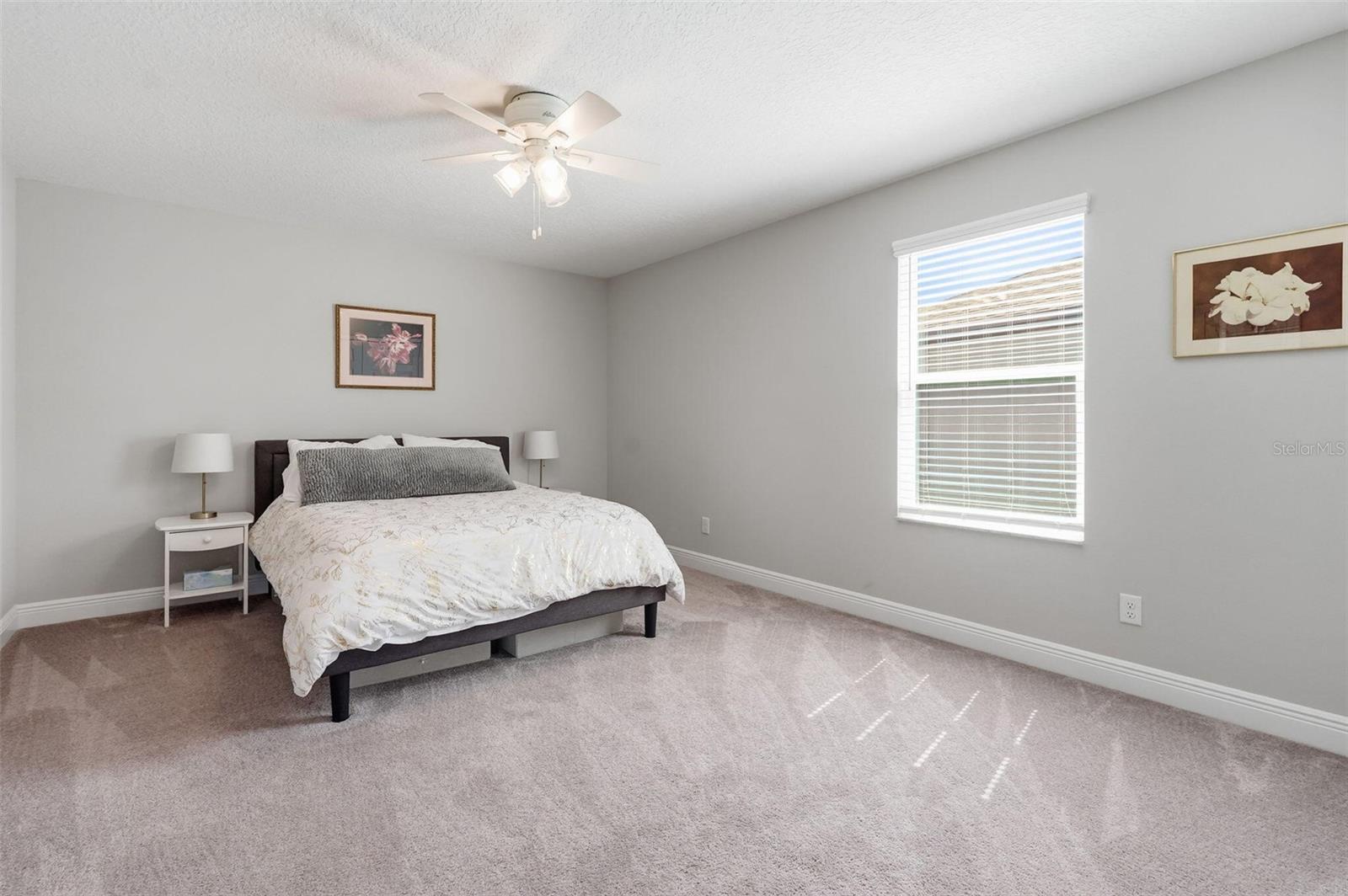 16146 MONTEREY GREENS CIR, TAMPA, FL, 33647