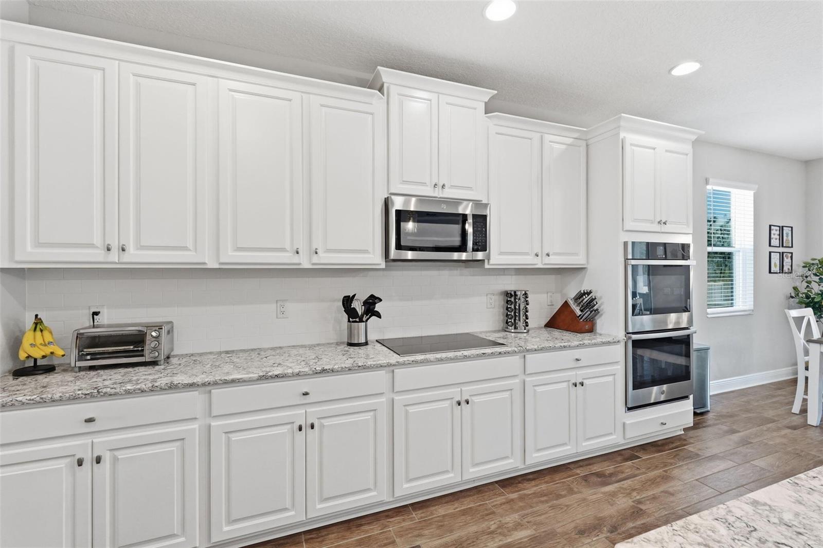 16146 MONTEREY GREENS CIR, TAMPA, FL, 33647