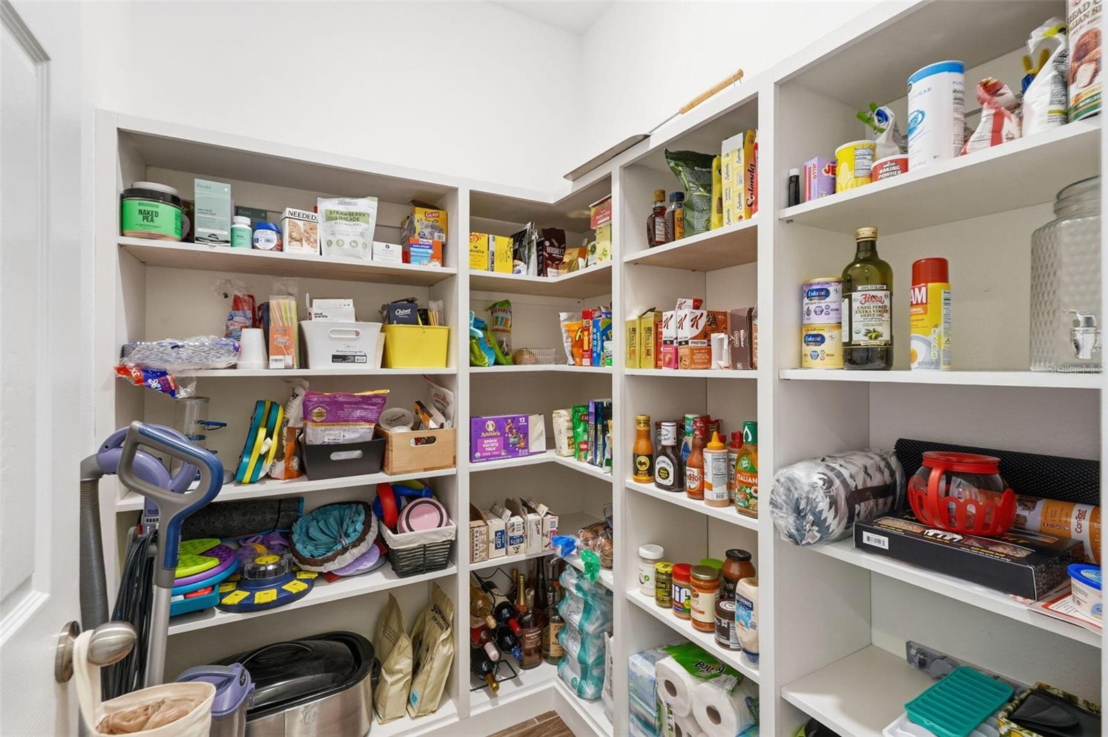 16146 MONTEREY GREENS CIR, TAMPA, FL, 33647