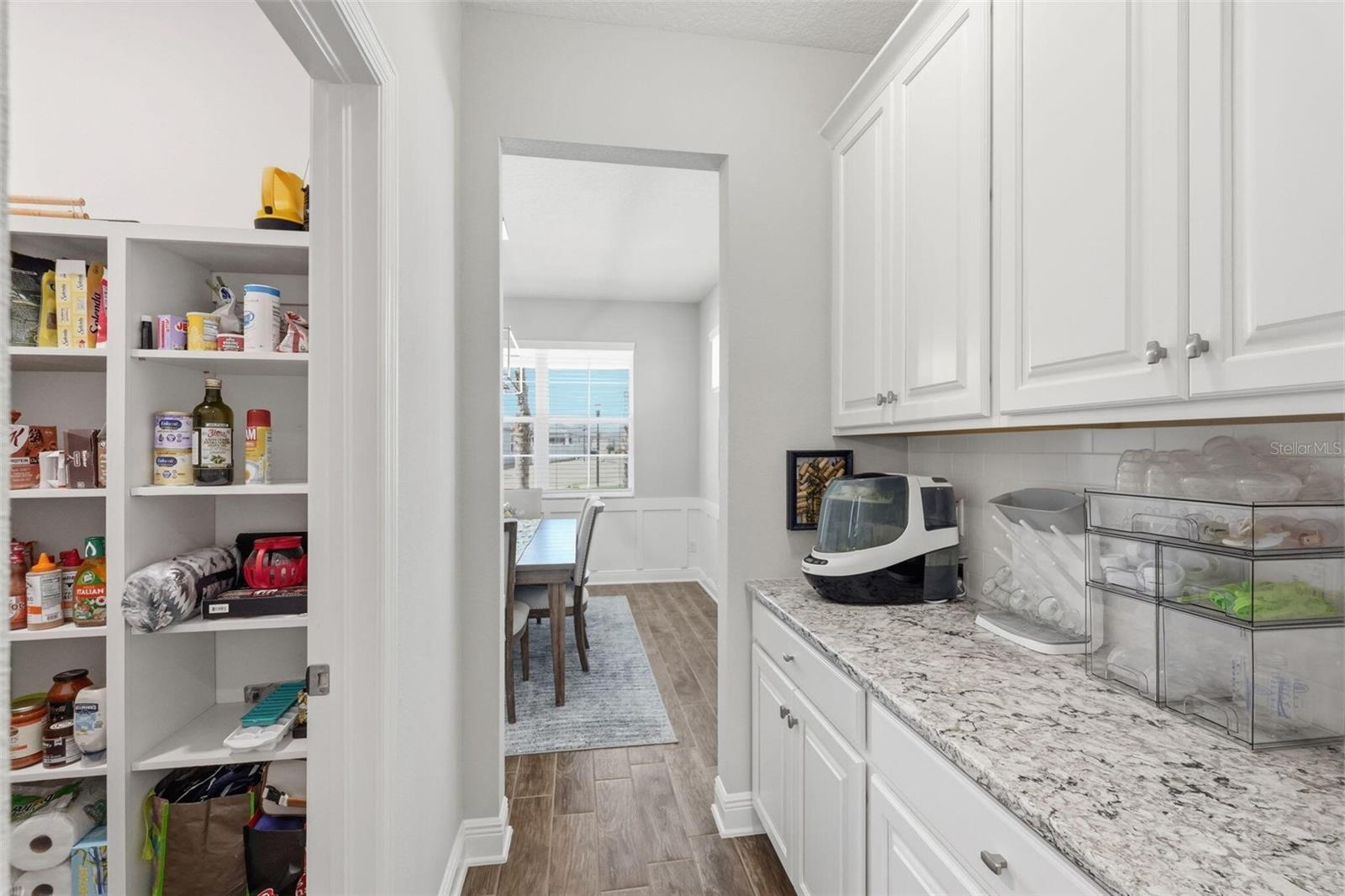 16146 MONTEREY GREENS CIR, TAMPA, FL, 33647