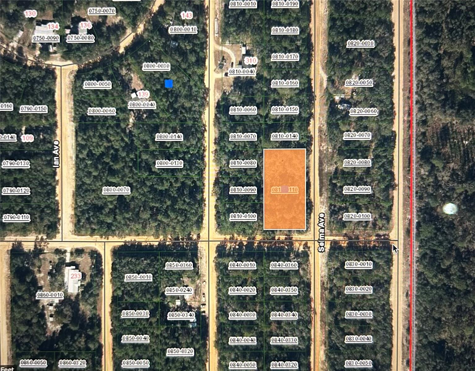 00 SELMA AVE, INTERLACHEN, FL, 32148