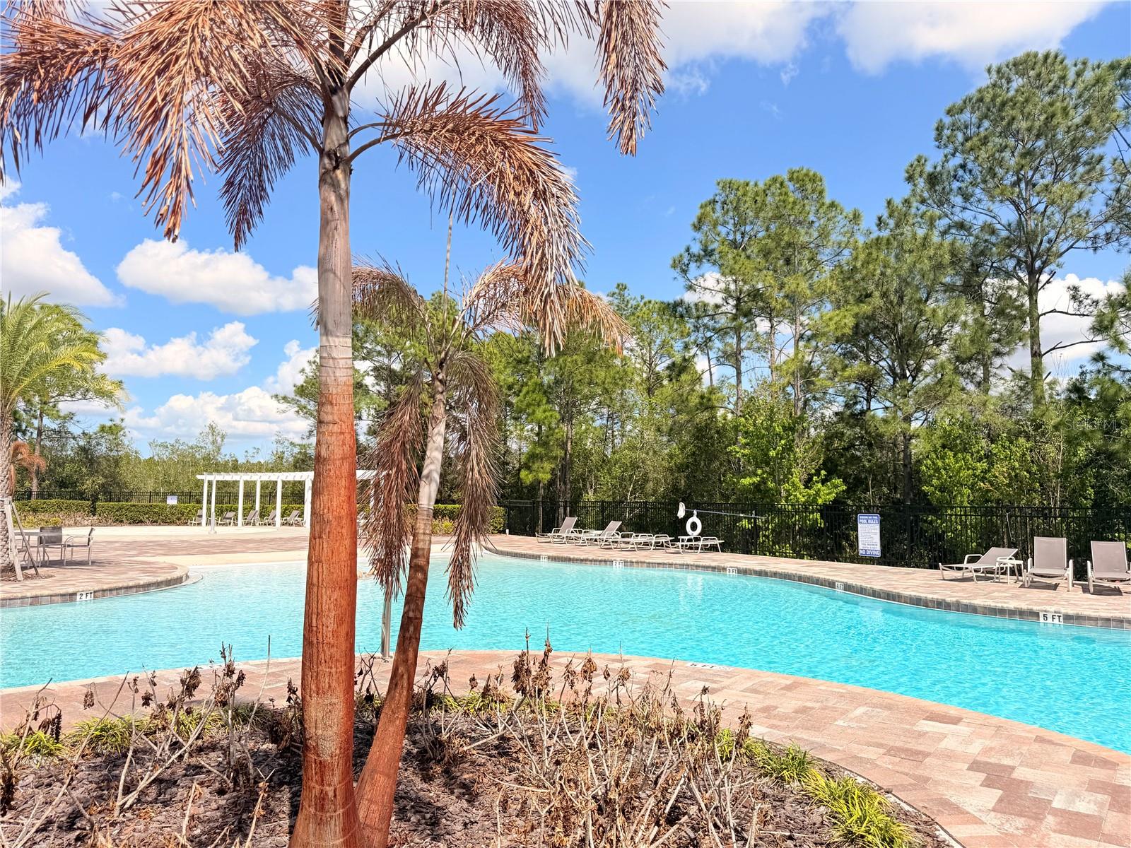 11079 HANLON TERRACE ALY ALY, WINTER GARDEN, FL, 34787