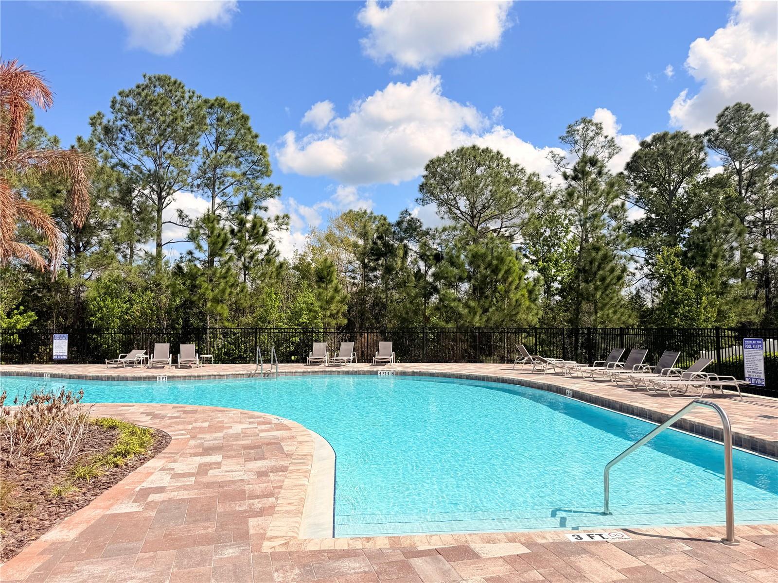 11079 HANLON TERRACE ALY ALY, WINTER GARDEN, FL, 34787