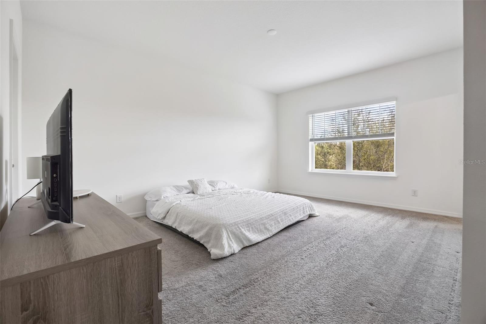 11079 HANLON TERRACE ALY ALY, WINTER GARDEN, FL, 34787