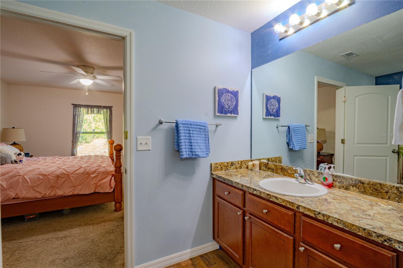 3801 ARBORVITAE WAY, DELAND, FL, 32724