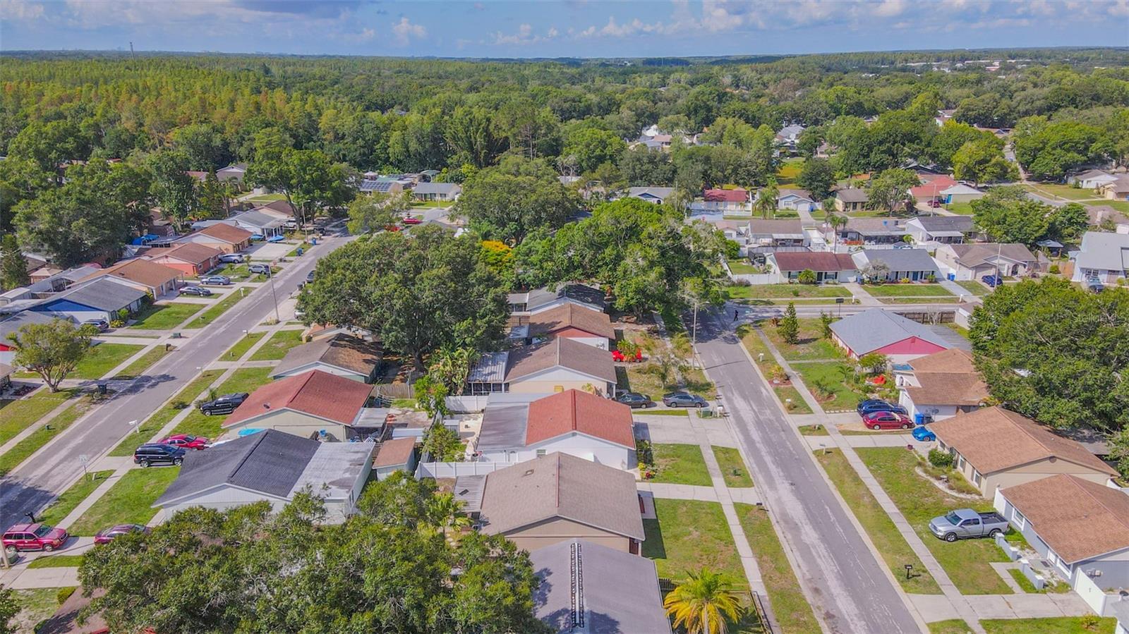 16017 WOODPINE DR, TAMPA, FL, 33618