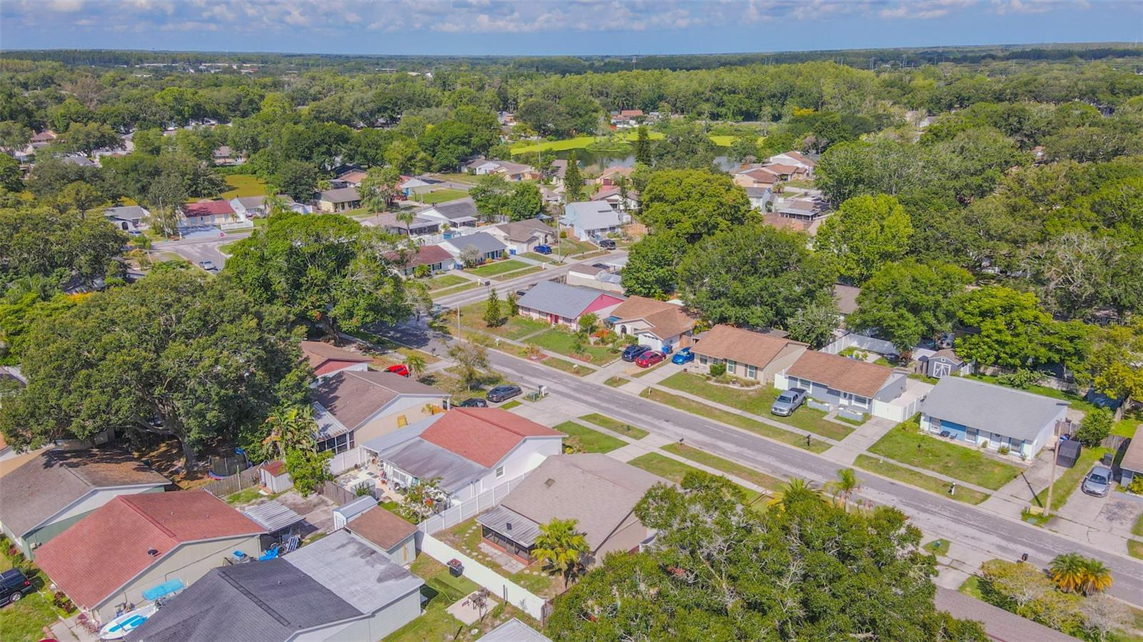 16017 WOODPINE DR, TAMPA, FL, 33618