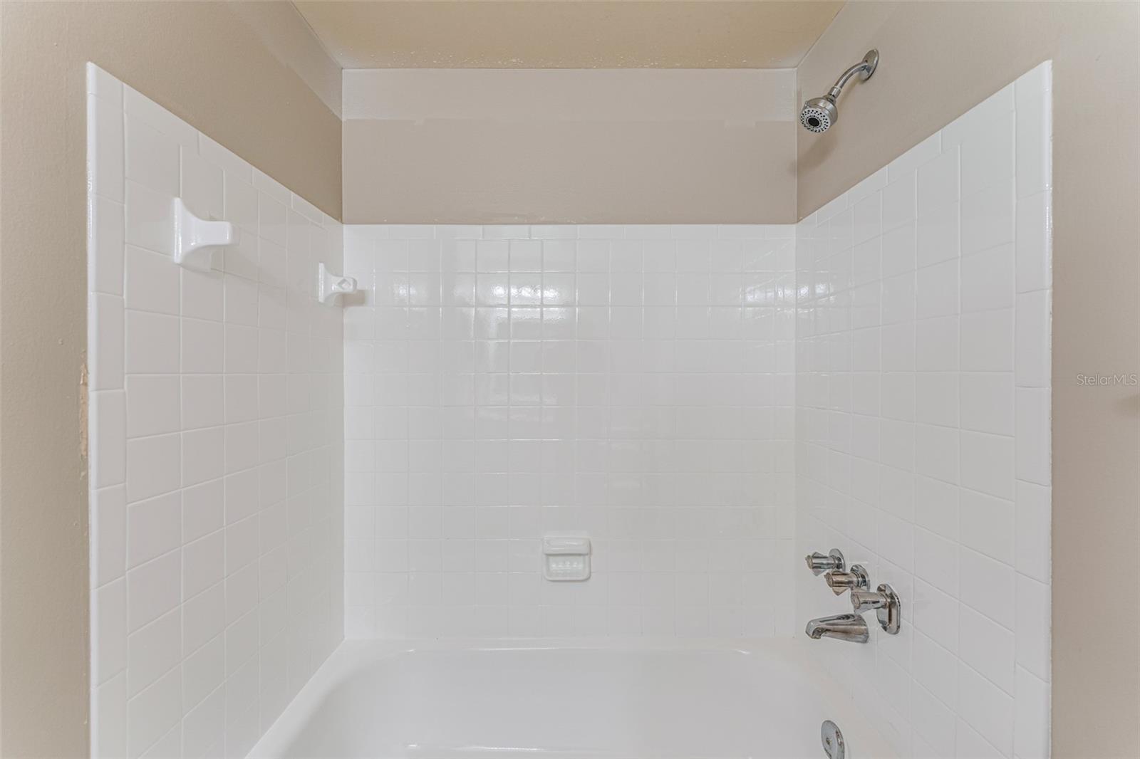 16017 WOODPINE DR, TAMPA, FL, 33618