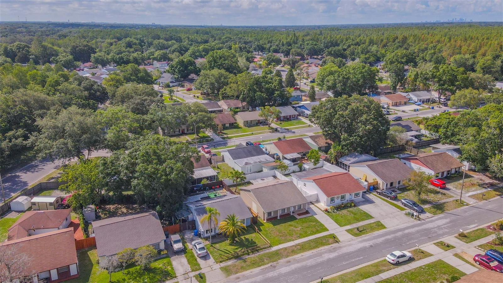 16017 WOODPINE DR, TAMPA, FL, 33618