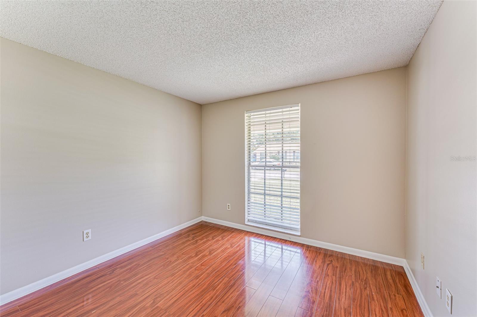 16017 WOODPINE DR, TAMPA, FL, 33618