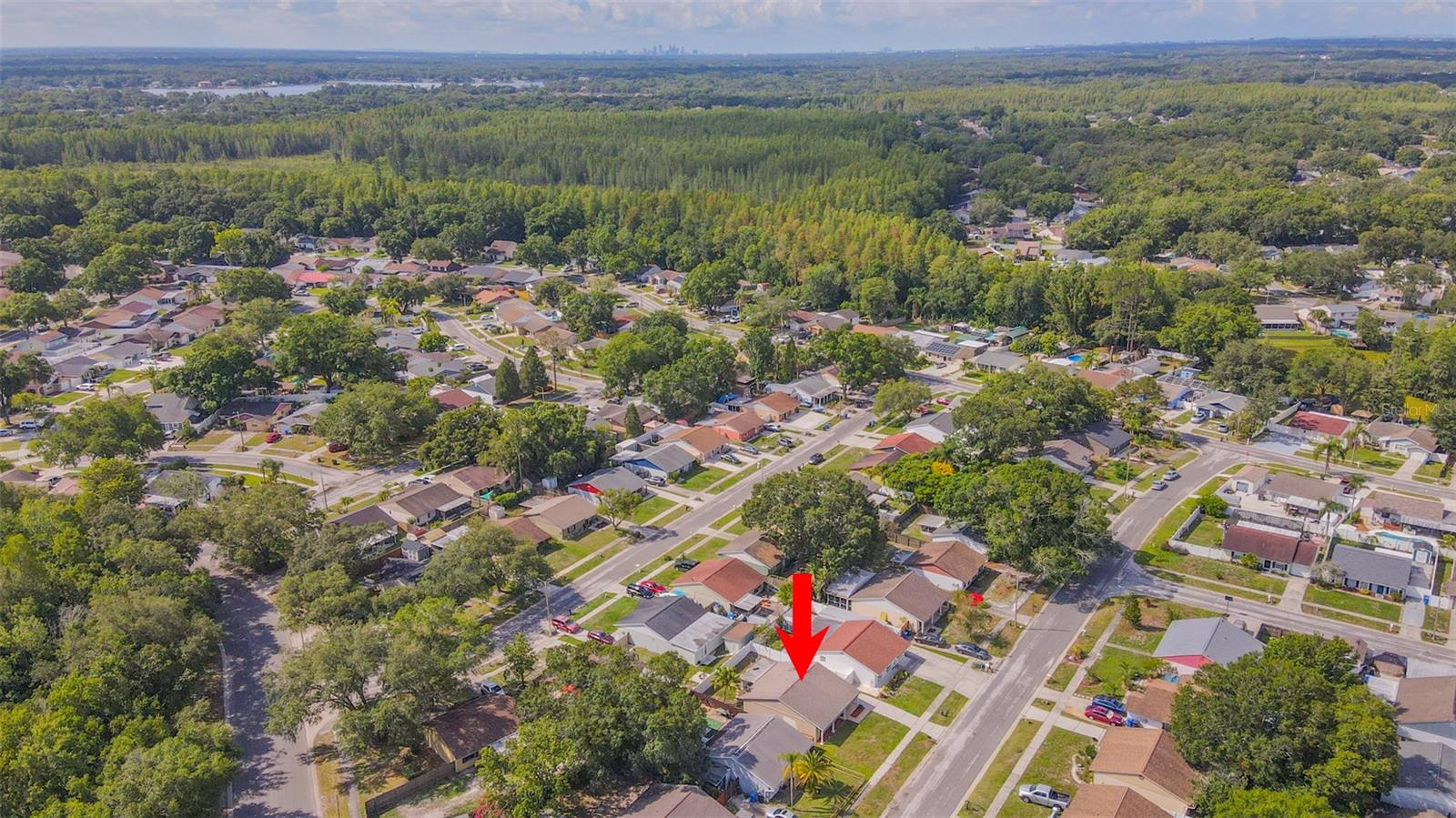 16017 WOODPINE DR, TAMPA, FL, 33618