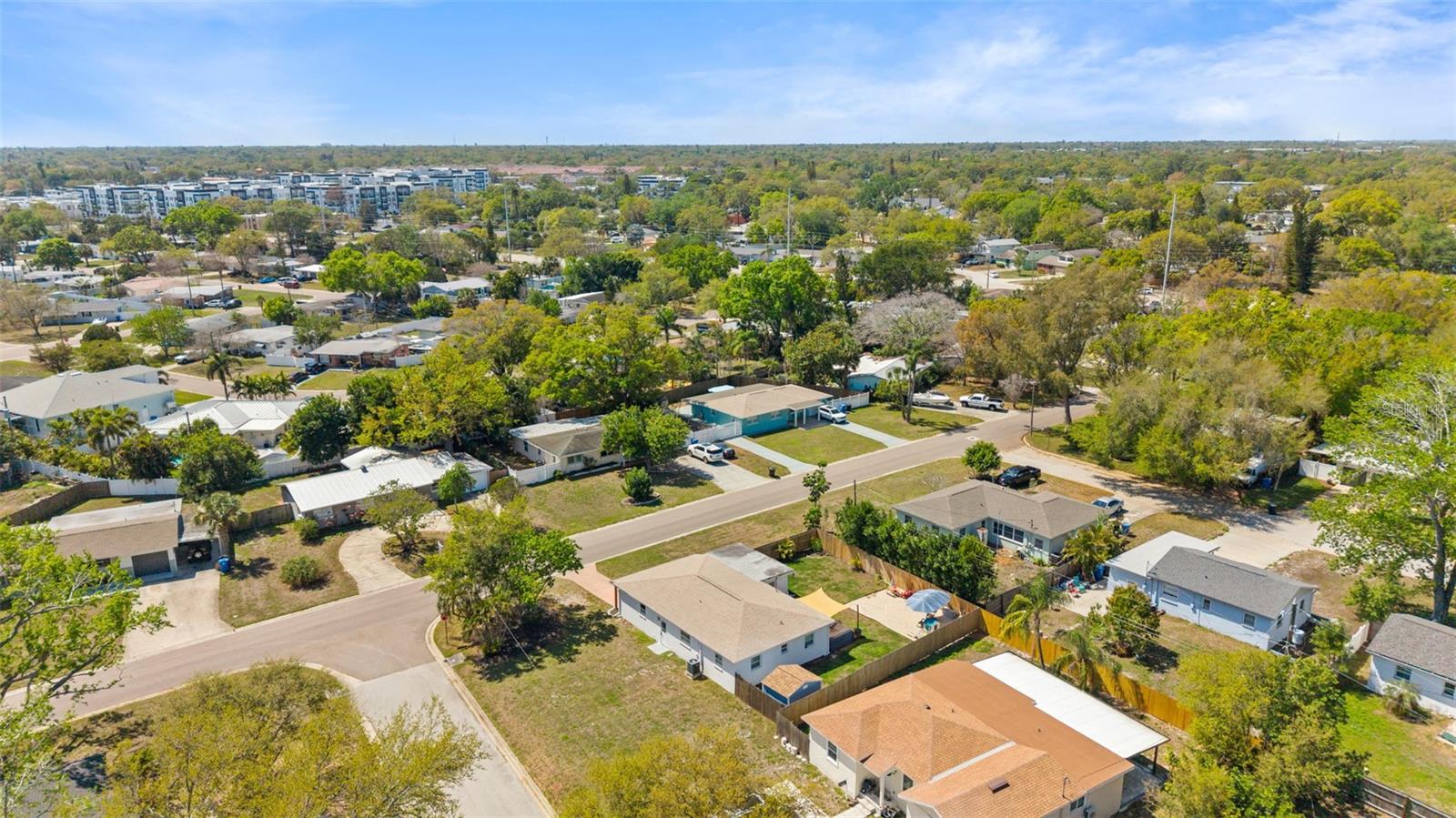 251 DAVISON AVE NE, ST PETERSBURG, FL, 33703