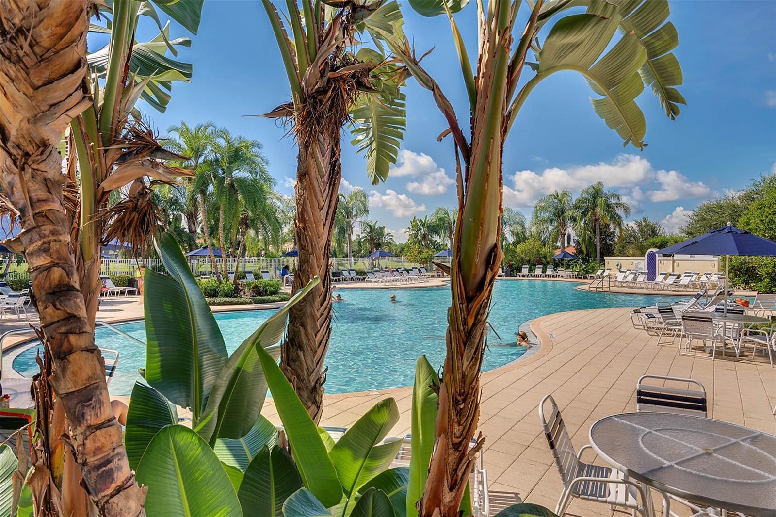 12290 REGAL LILY LN, ORLANDO, FL, 32827