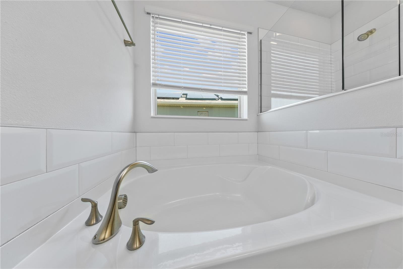 15537 MANGO ISLE ST, WINTER GARDEN, FL, 34787