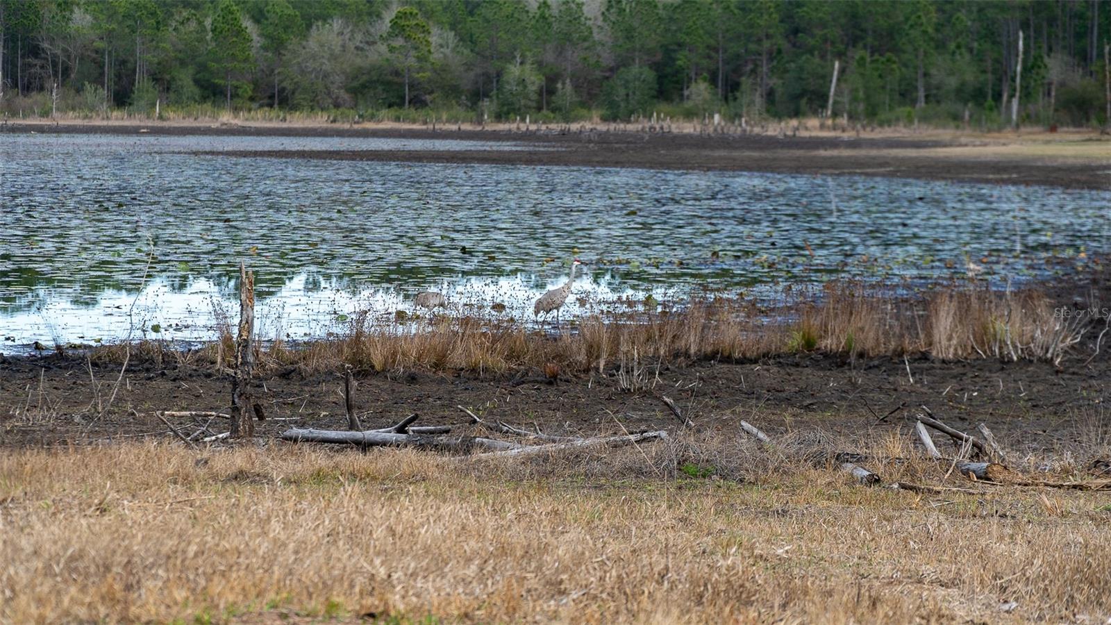 5370 COUNTY ROAD 214, KEYSTONE HEIGHTS, FL, 32656