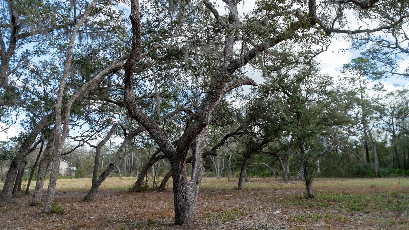 5370 COUNTY ROAD 214, KEYSTONE HEIGHTS, FL, 32656