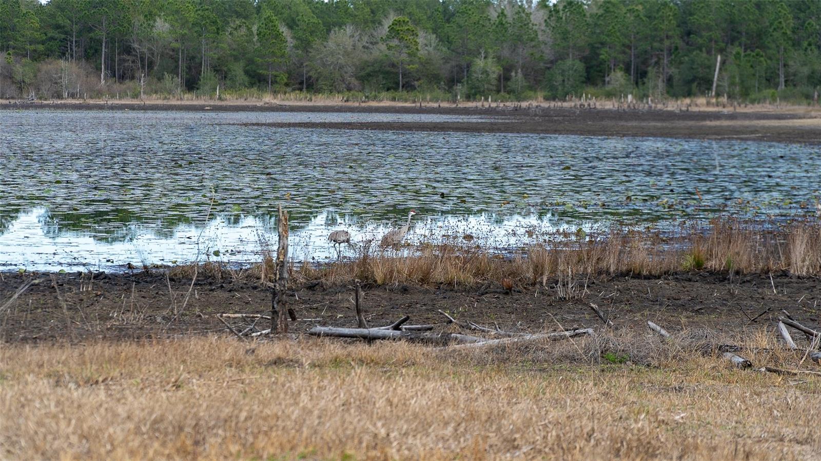 5370 COUNTY ROAD 214, KEYSTONE HEIGHTS, FL, 32656