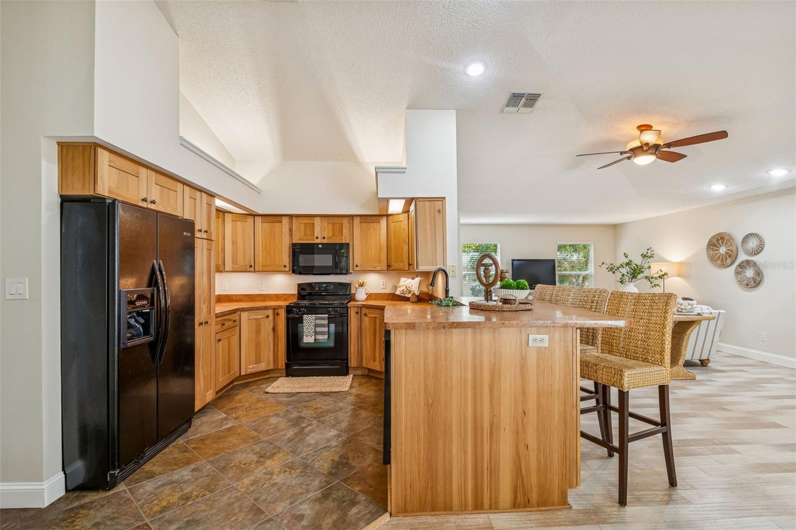 160 SAGE CIR, CRYSTAL BEACH, FL, 34681