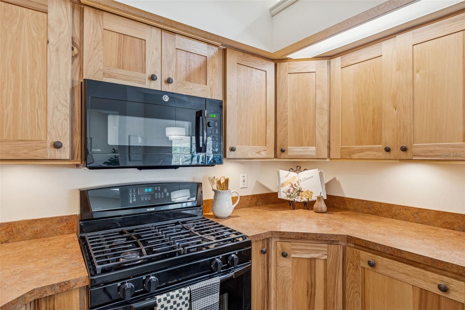 160 SAGE CIR, CRYSTAL BEACH, FL, 34681