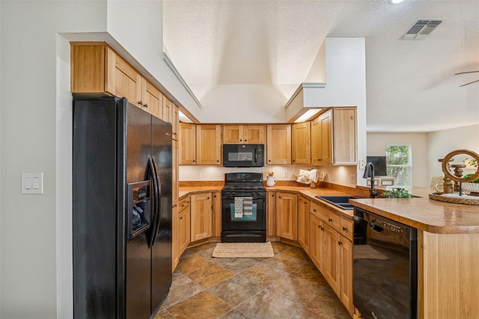 160 SAGE CIR, CRYSTAL BEACH, FL, 34681