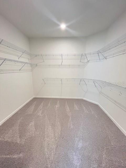 3810 KNOTTY PINE ST, ST CLOUD, FL, 34772