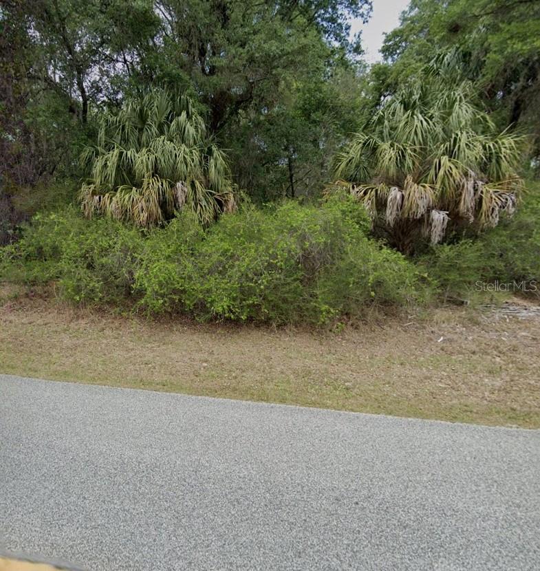 12069 W RIVERWOOD DR, CRYSTAL RIVER, FL, 34428