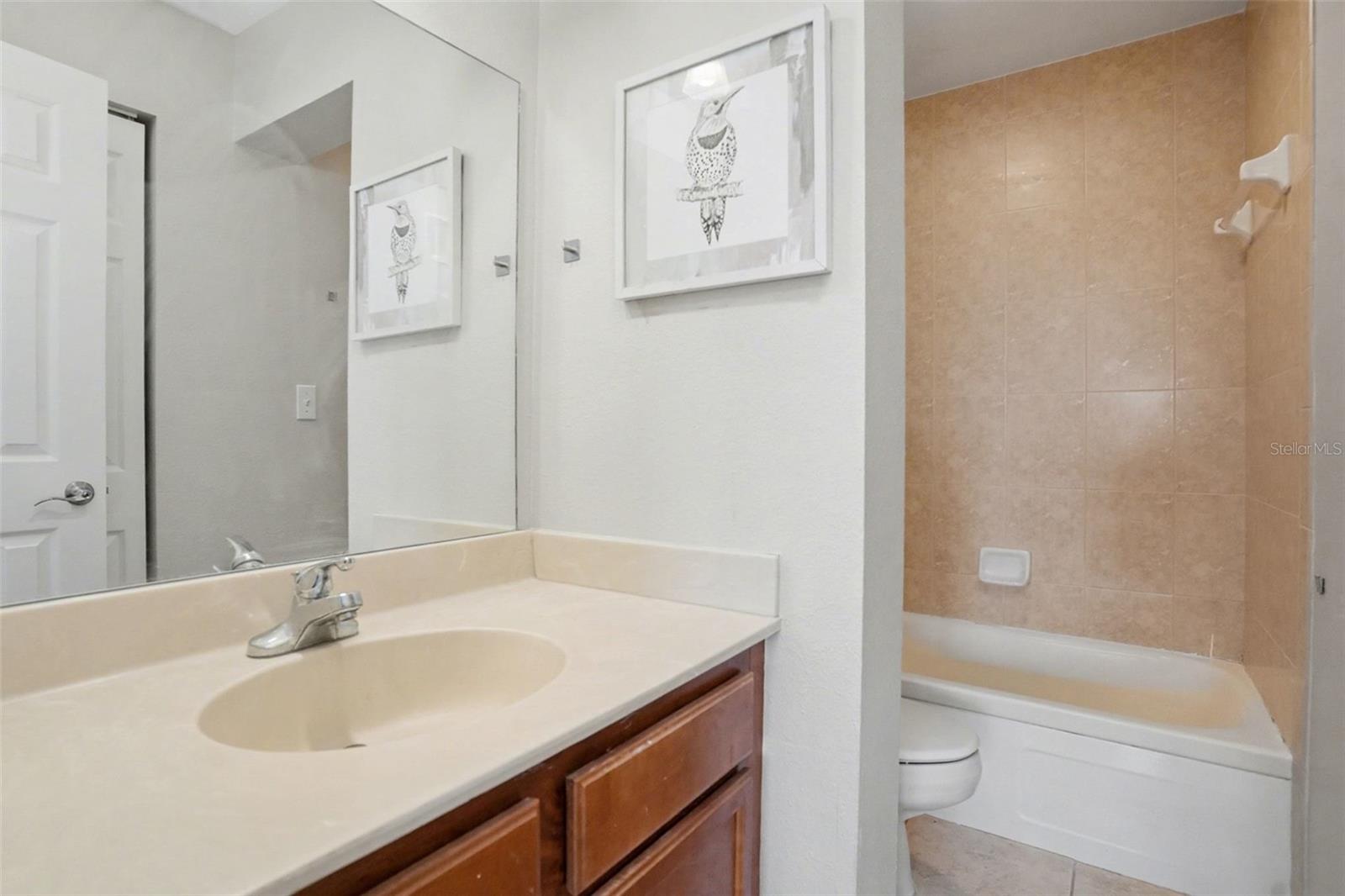 406 S CEDAR AVE #505, TAMPA, FL, 33606