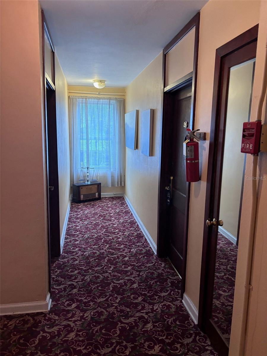 ST PETERSBURG, FL, 33701