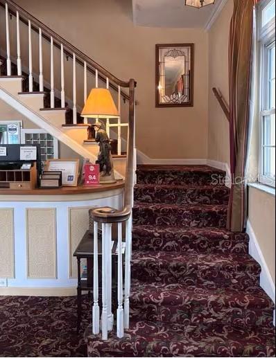 ST PETERSBURG, FL, 33701