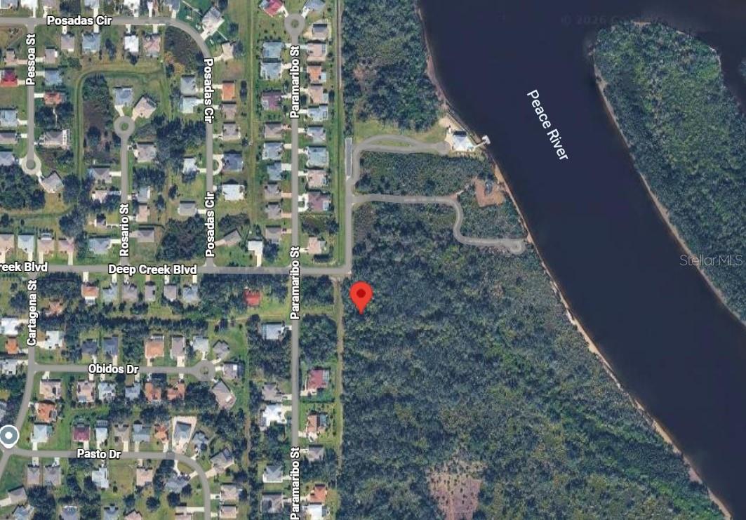 28005 DEL RIO CT, PUNTA GORDA, FL, 33983