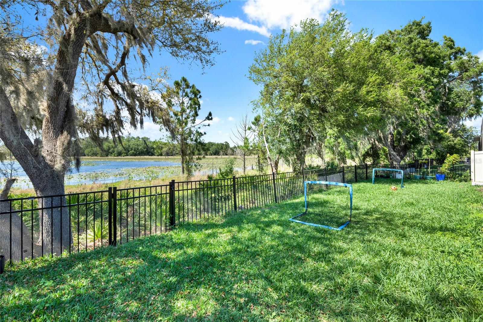 16887 WINGSPREAD LOOP, WINTER GARDEN, FL, 34787