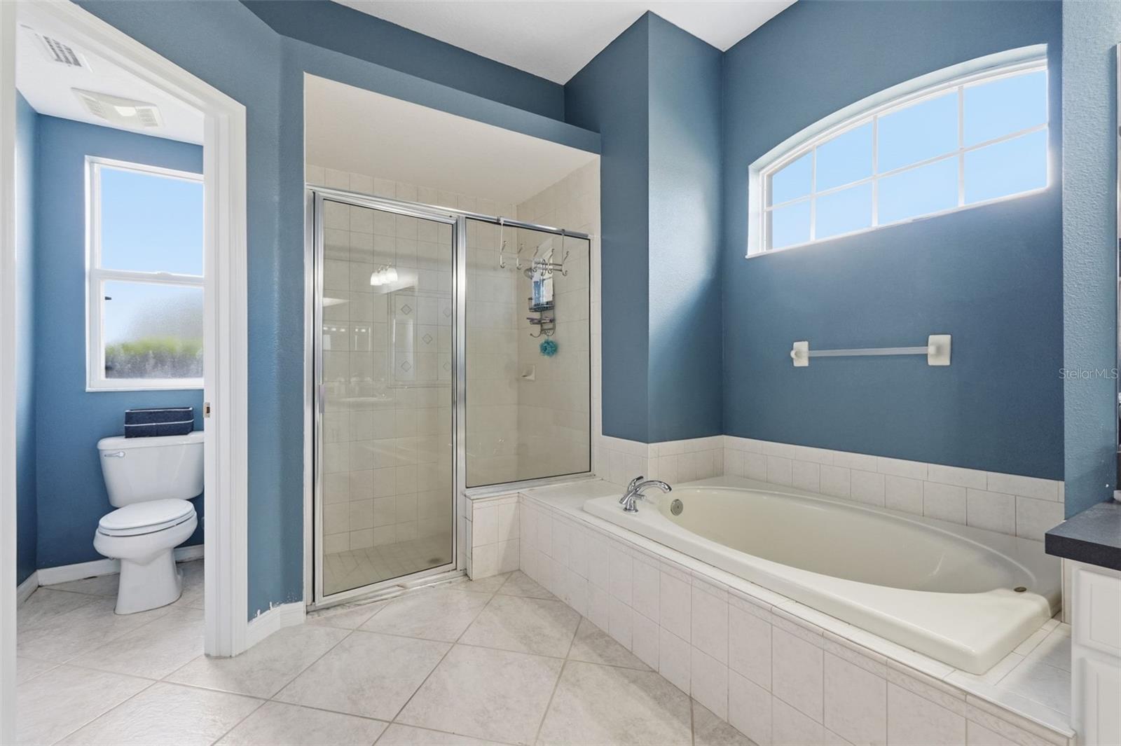12329 CREEK EDGE DR, RIVERVIEW, FL, 33579
