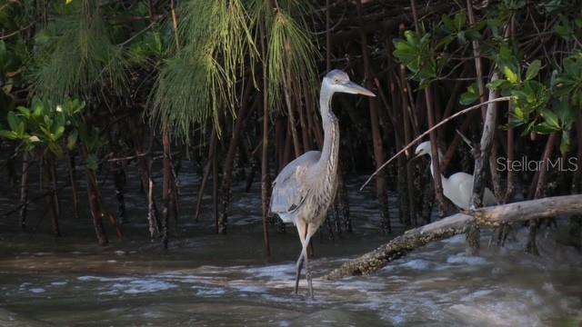 7500 PARK POINTE DR #52, ENGLEWOOD, FL, 34224