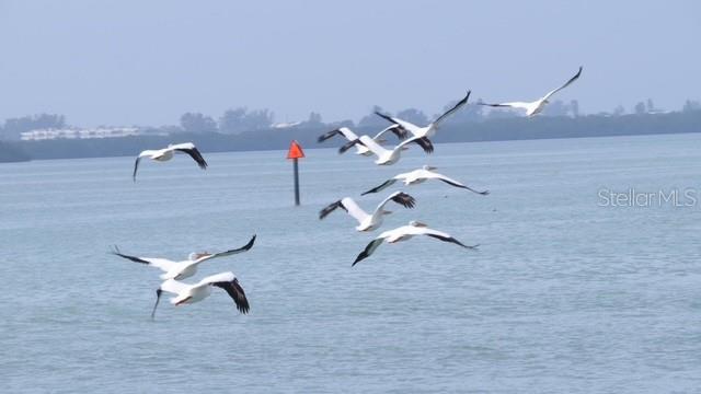 7500 PARK POINTE DR #52, ENGLEWOOD, FL, 34224