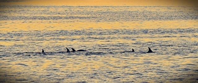 7500 PARK POINTE DR #52, ENGLEWOOD, FL, 34224