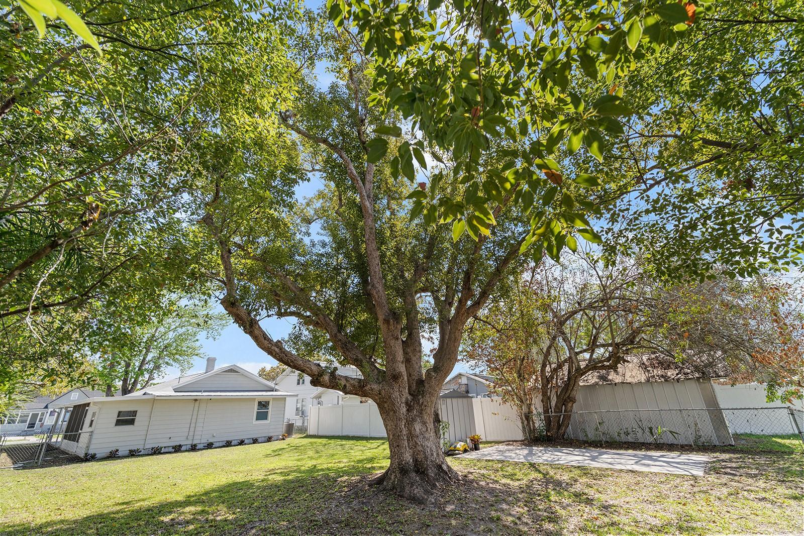 1508 KENTUCKY AVE, ST CLOUD, FL, 34769