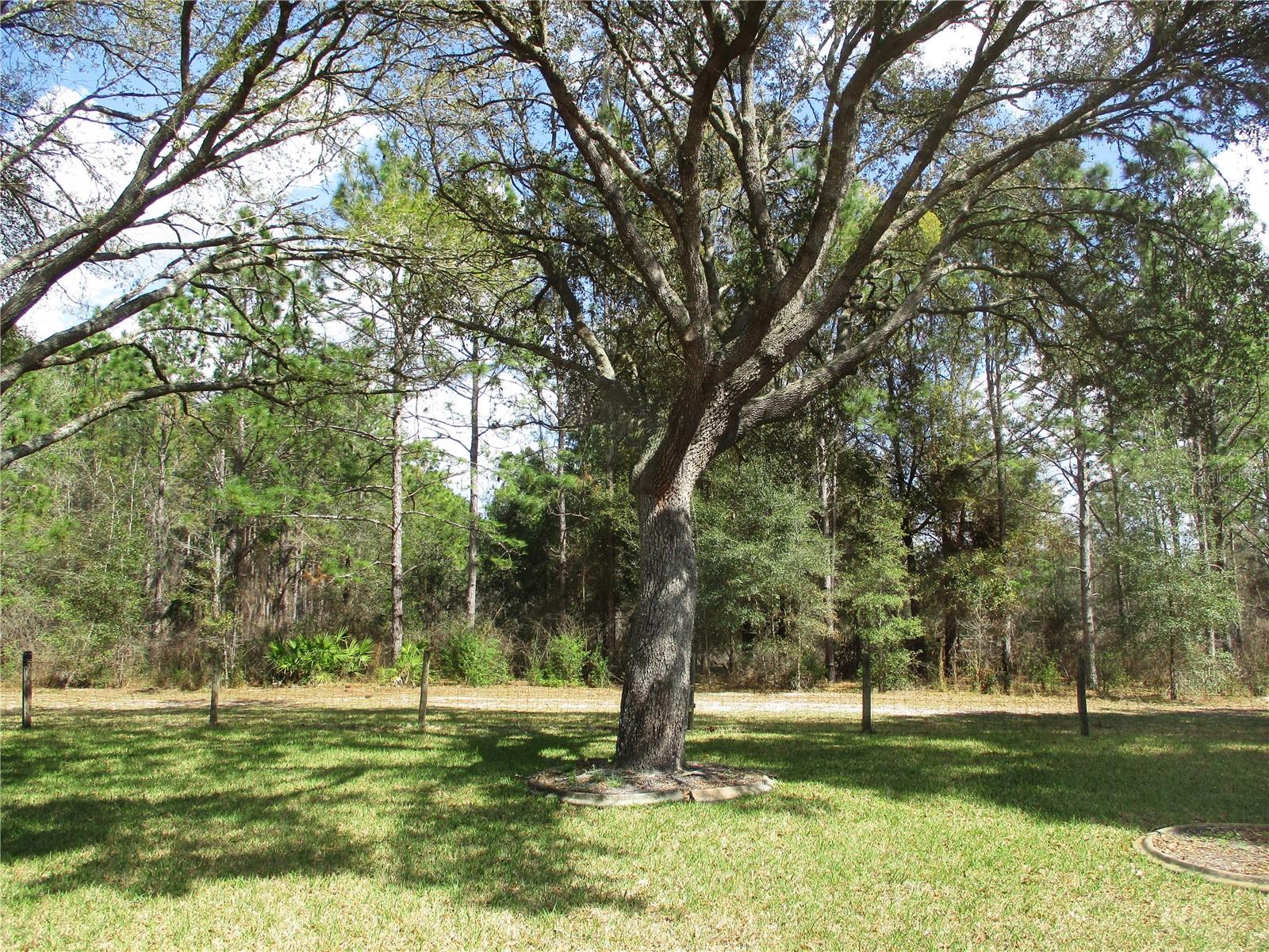 14464 SW 112TH CIR, DUNNELLON, FL, 34432