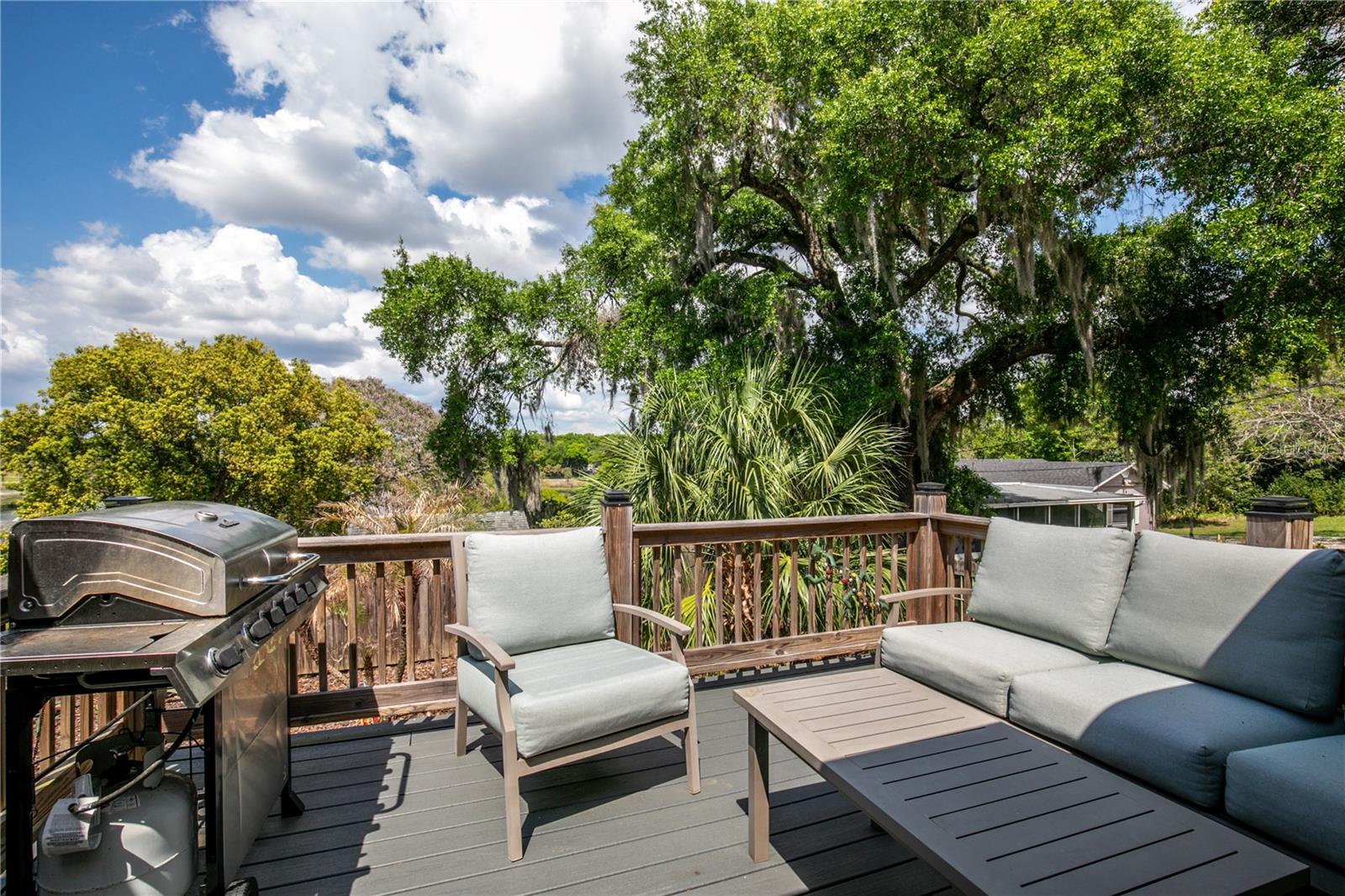 809 POINSETTIA DR, EUSTIS, FL, 32726