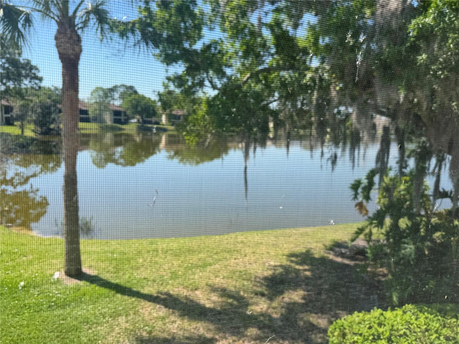 212 CYPRESS LN, OLDSMAR, FL, 34677