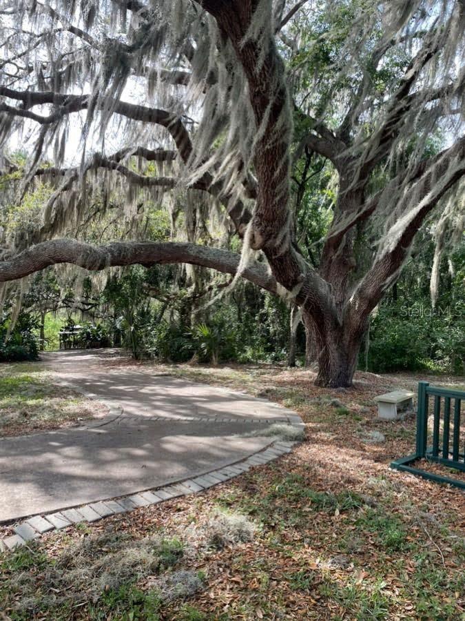 26903 HONEYMOON AVE, LEESBURG, FL, 34748