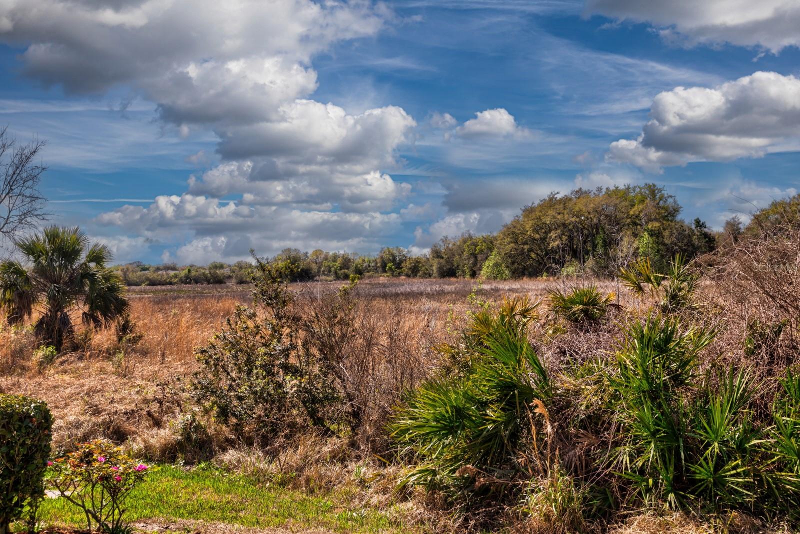 27525 DISCOVER CT, LEESBURG, FL, 34748